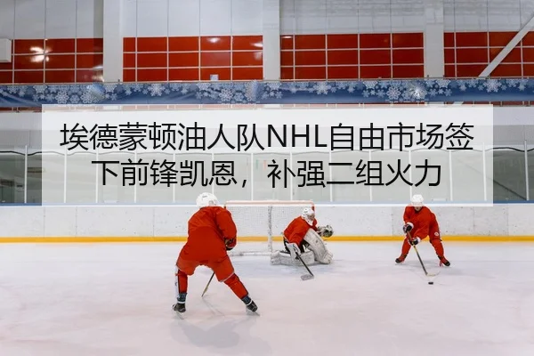 埃德蒙顿油人队NHL自由市场签下前锋凯恩，补强二组火力