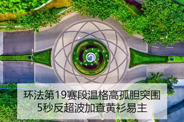 huan-fa-di-sai-duan-wen-ge-gao-gu-dan-tu-wei-miao-fan-chao-bo-jia-cha-huang-shan-yi-zhu-2-167.jpg