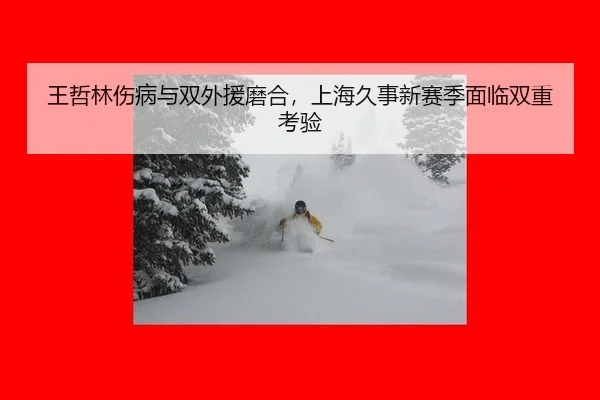 wang-zhe-lin-shang-bing-yu-shuang-wai-yuan-mo-he-shang-hai-jiu-shi-xin-sai-ji-mian-lin-shuang-chong-kao-yan-1-238.jpg